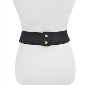 Black & Gold Brushed Accent Elastic Statement Belt Accessories | Black Gold Brushed Accent Elastic Statement  main image 2